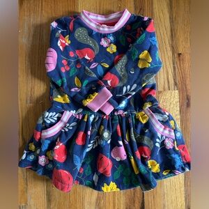 Mini Boden fall sweatshirt dress